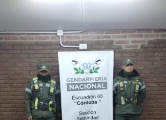 CÓRDOBA: DETECTARON 387 AVES SILVESTRES OCULTAS ENTRE UNA CARGA DE ACEITUNAS