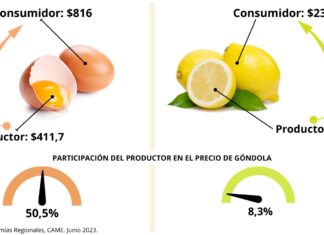 LA BRECHA DE PRECIOS ENTRE CAMPO Y GÓNDOLA SE MANTUVO EN 3,5 VECES