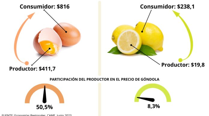 LA BRECHA DE PRECIOS ENTRE CAMPO Y GÓNDOLA SE MANTUVO EN 3,5 VECES