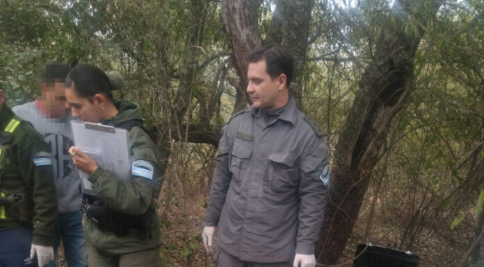 ENCONTRARON 32 KILOS DE COCAÍNA RELACIONADOS A LA AVIONETA CAÍDA EN CHACO