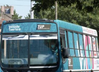 El domingo habrá TUP gratuito con motivo de las elecciones nacionales