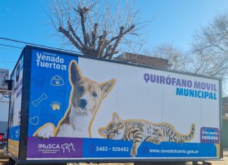 Salud animal: el quirófano móvil municipal estará en Barrio Santa Rosa con castraciones y vacunación