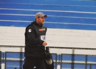 PERROS DEPORTISTAS: UNA PRÁCTICA QUE POTENCIA LAS HABILIDADES DE LOS CANES