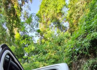 MISIONES: Encuentran 7.750 paquetes de cigarrillos dentro de una camioneta robada