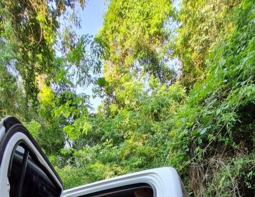 MISIONES: Encuentran 7.750 paquetes de cigarrillos dentro de una camioneta robada