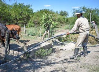 LA PROVINCIA ANUNCIÓ QUE SE EXTENDIÓ LA PRÓRROGA A PRODUCTORES AFECTADOS POR LA SEQUÍA PARA RECIBIR APORTES