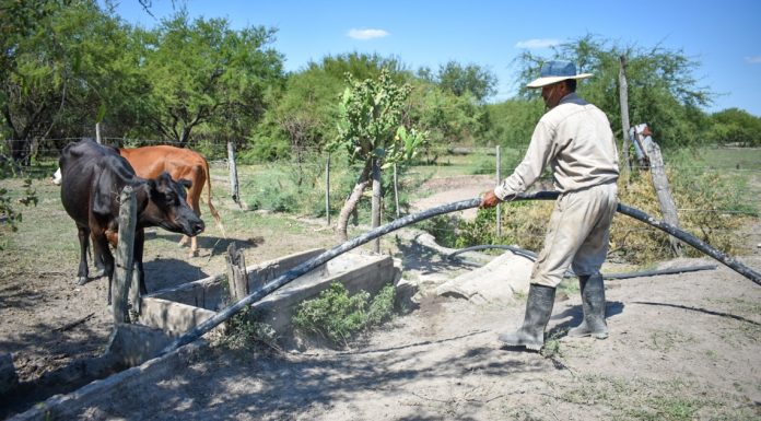 LA PROVINCIA ANUNCIÓ QUE SE EXTENDIÓ LA PRÓRROGA A PRODUCTORES AFECTADOS POR LA SEQUÍA PARA RECIBIR APORTES