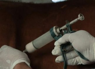 La provincia define criterios ante el inicio de la campaña de vacunación antiaftosa 2023