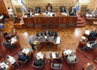 El Colegio de Trabajo Social consideró que el nuevo Código Penal Juvenil “es un retroceso”