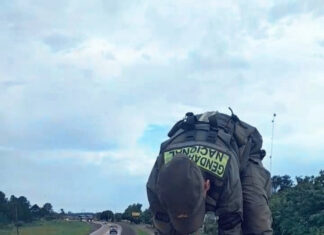Gendarmería secuestró 507 toneladas de soja a granel en distintos procedimientos