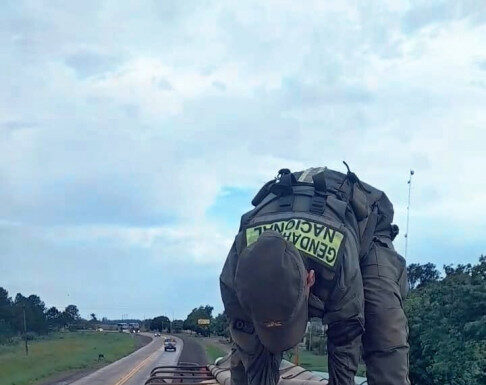 Gendarmería secuestró 507 toneladas de soja a granel en distintos procedimientos