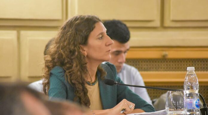 DI GREGORIO DEBUTÓ EN EL SENADO CON LEYES CONTRA LA INSEGURIDAD Y EL NARCOTRÁFICO