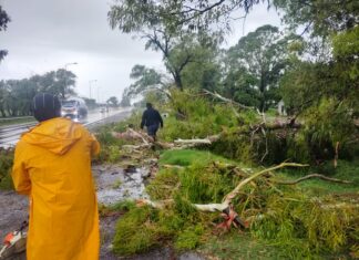 TRABAJO CONJUNTO DE LAS ÁREAS MUNICIPALES PARA MITIGAR EL IMPACTO DEL TEMPORAL
