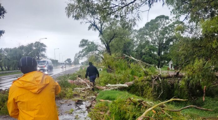 TRABAJO CONJUNTO DE LAS ÁREAS MUNICIPALES PARA MITIGAR EL IMPACTO DEL TEMPORAL