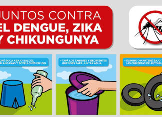 DENGUE Y CHIKUNGUNYA: RECOMENDACIONES PARA PREVENIR EL DESARROLLO DEL MOSQUITO TRANSMISOR