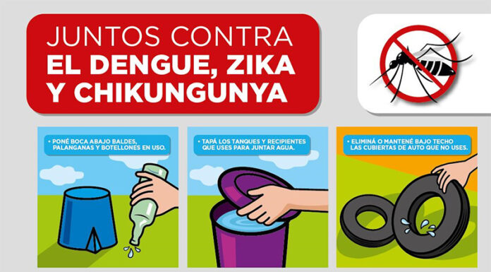 DENGUE Y CHIKUNGUNYA: RECOMENDACIONES PARA PREVENIR EL DESARROLLO DEL MOSQUITO TRANSMISOR
