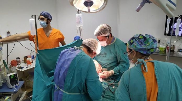 Cuatro donaciones de órganos en cinco días en la Provincia