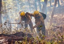 REGRESARON A SANTA FE LOS BRIGADISTAS QUE COLABORARON EN EL CONTROL DE INCENDIOS FORESTALES EN CHUBUT