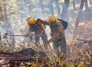 REGRESARON A SANTA FE LOS BRIGADISTAS QUE COLABORARON EN EL CONTROL DE INCENDIOS FORESTALES EN CHUBUT