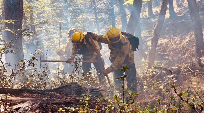 REGRESARON A SANTA FE LOS BRIGADISTAS QUE COLABORARON EN EL CONTROL DE INCENDIOS FORESTALES EN CHUBUT